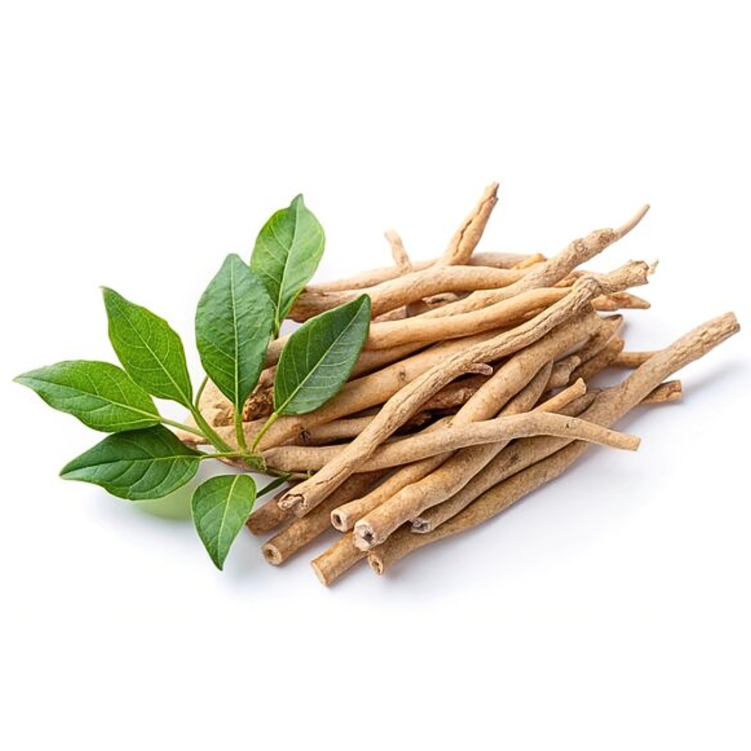 Ashwagandha Root-Indian Ginseng-Withania somnifera