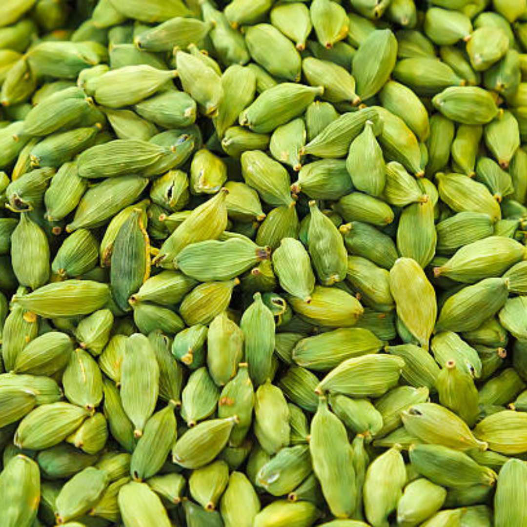 Elaichi badi-Green Cardamom -Elettaria cardamomum