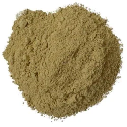 Bhoomi Amla Powder