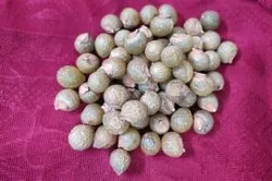 Reetha Seed - Soap nut - Sapindus mukorossi