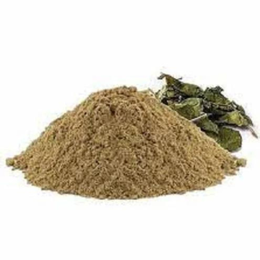 Gurmar Powder-Gurmar Leaves Powder-Gymnema sylvestre Pow