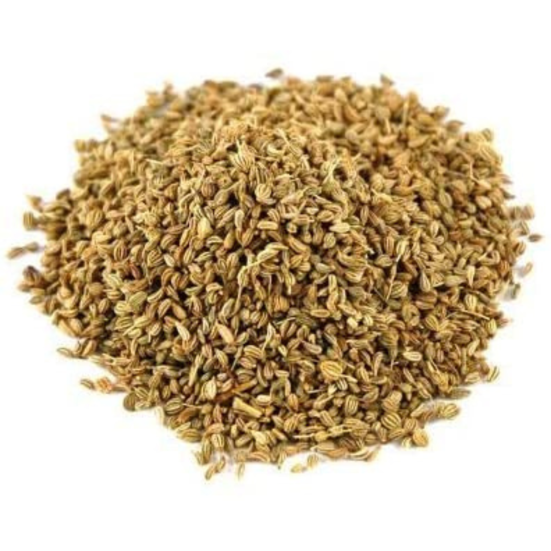 Ajwain-carom seed-Trachyspermum ammi L