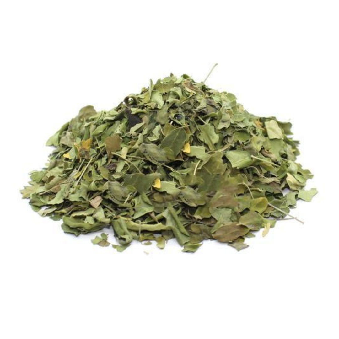 Moringa Leaf-Drumstick Leaves-Moringa oleifera