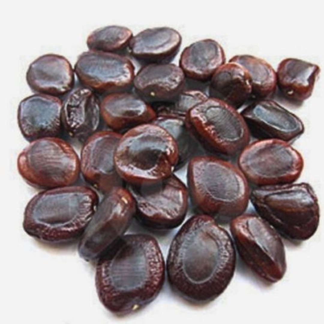 Imli Beej-Tamarind Seeds-Tamarindus indica